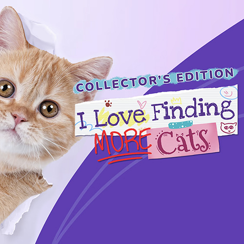 I Love Finding MORE Cats!